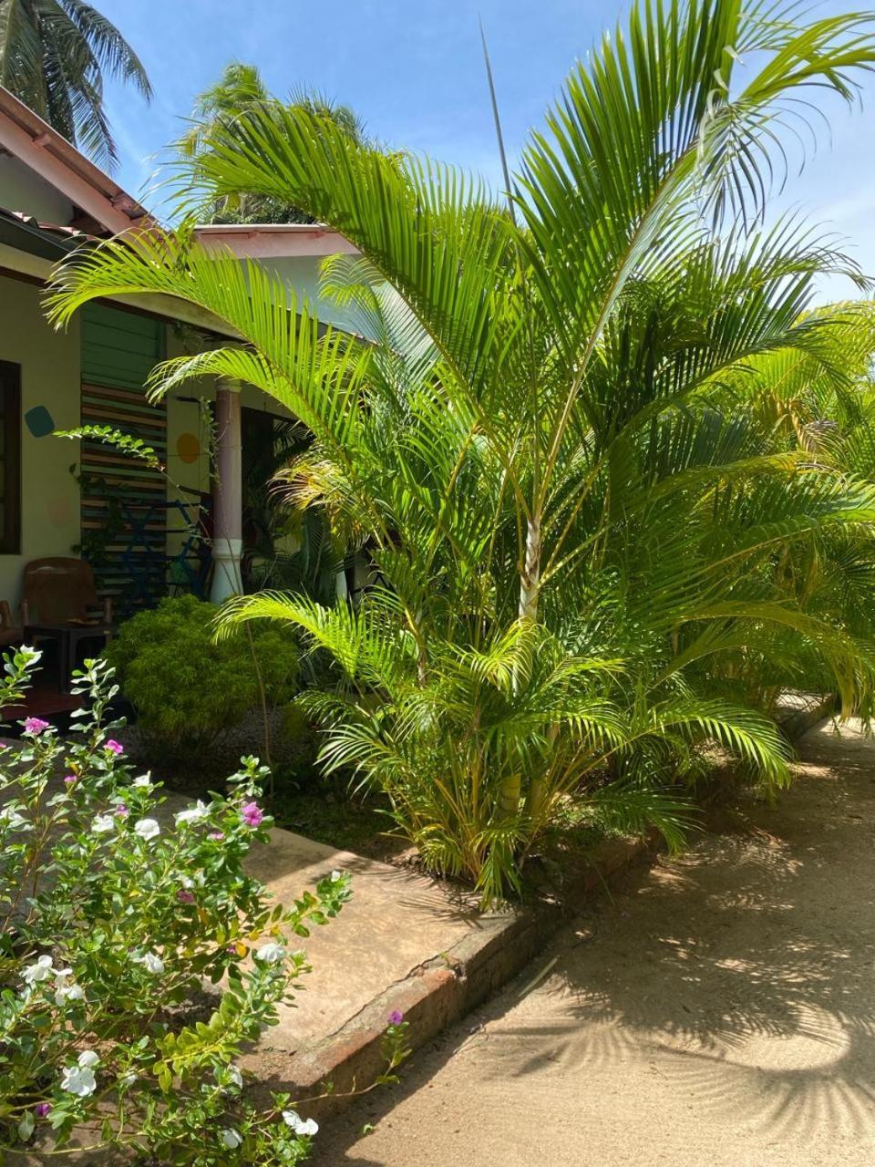 Elena Garden Resort And Restaurant Trincomalee Kültér fotó