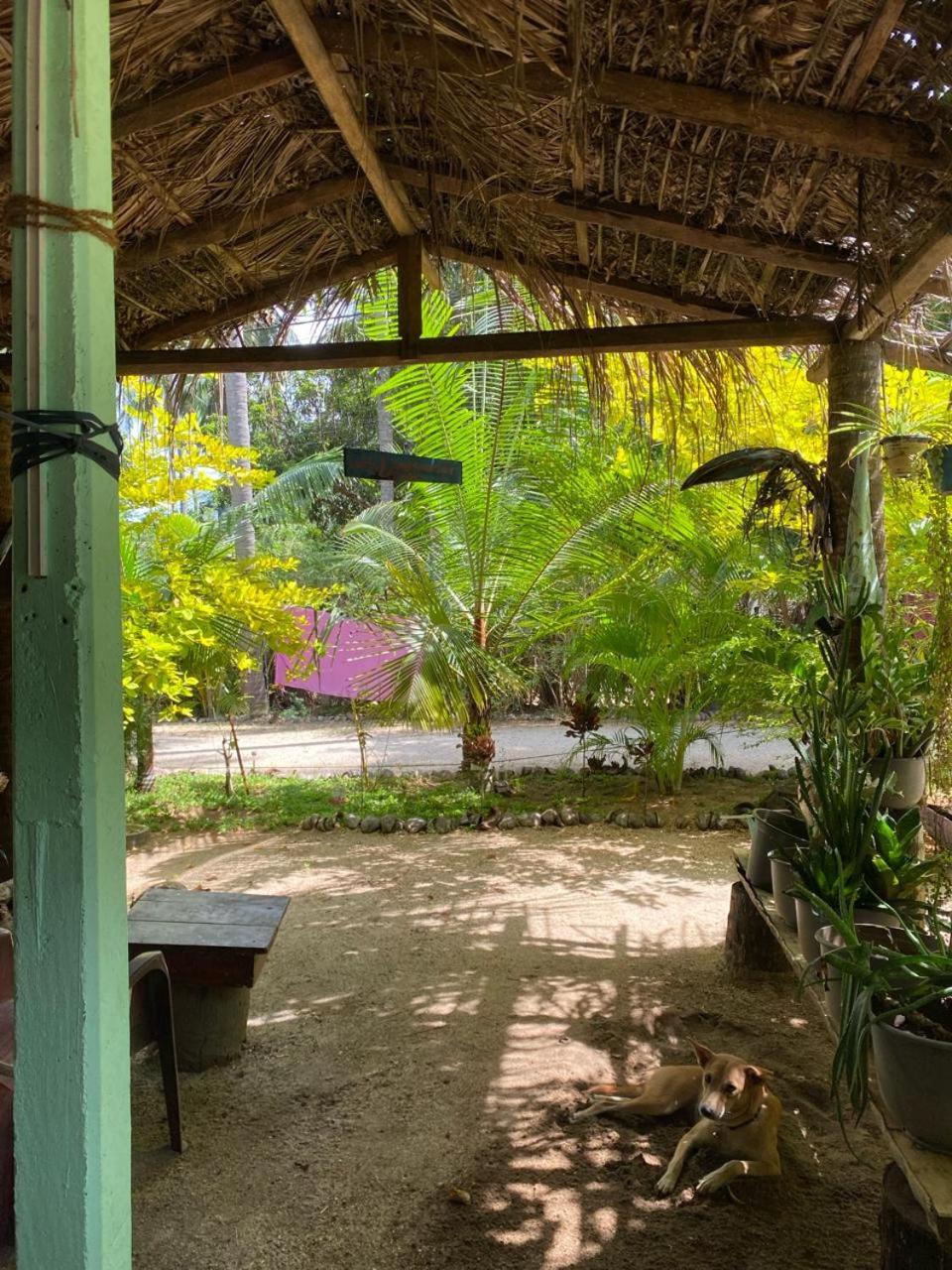 Elena Garden Resort And Restaurant Trincomalee Kültér fotó