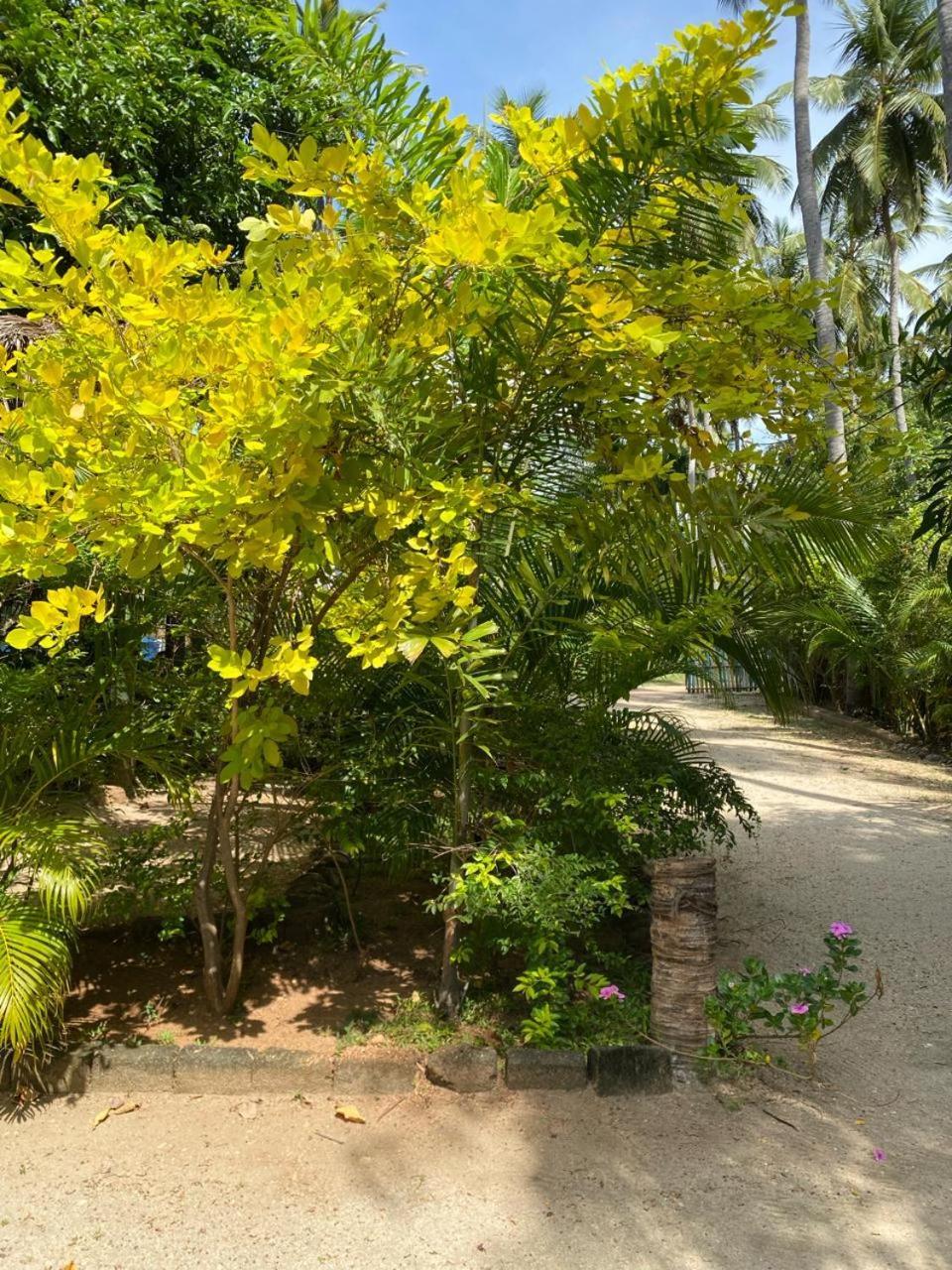 Elena Garden Resort And Restaurant Trincomalee Kültér fotó