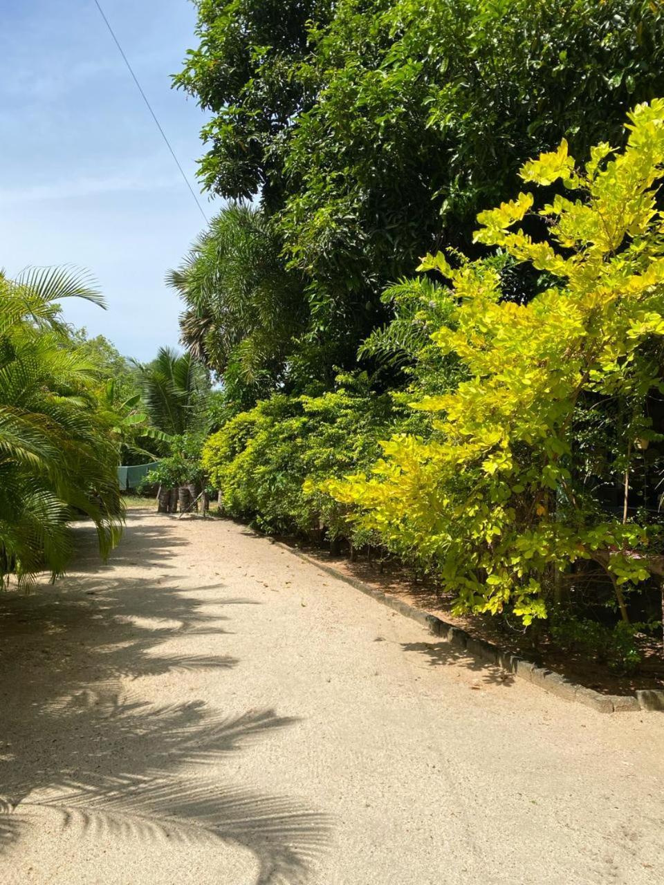 Elena Garden Resort And Restaurant Trincomalee Kültér fotó