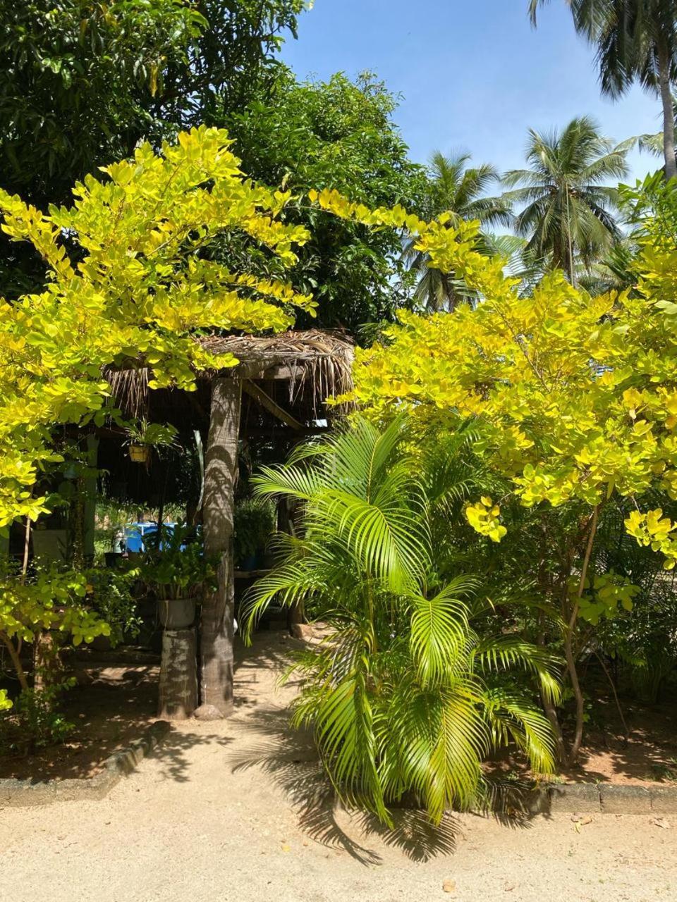 Elena Garden Resort And Restaurant Trincomalee Kültér fotó
